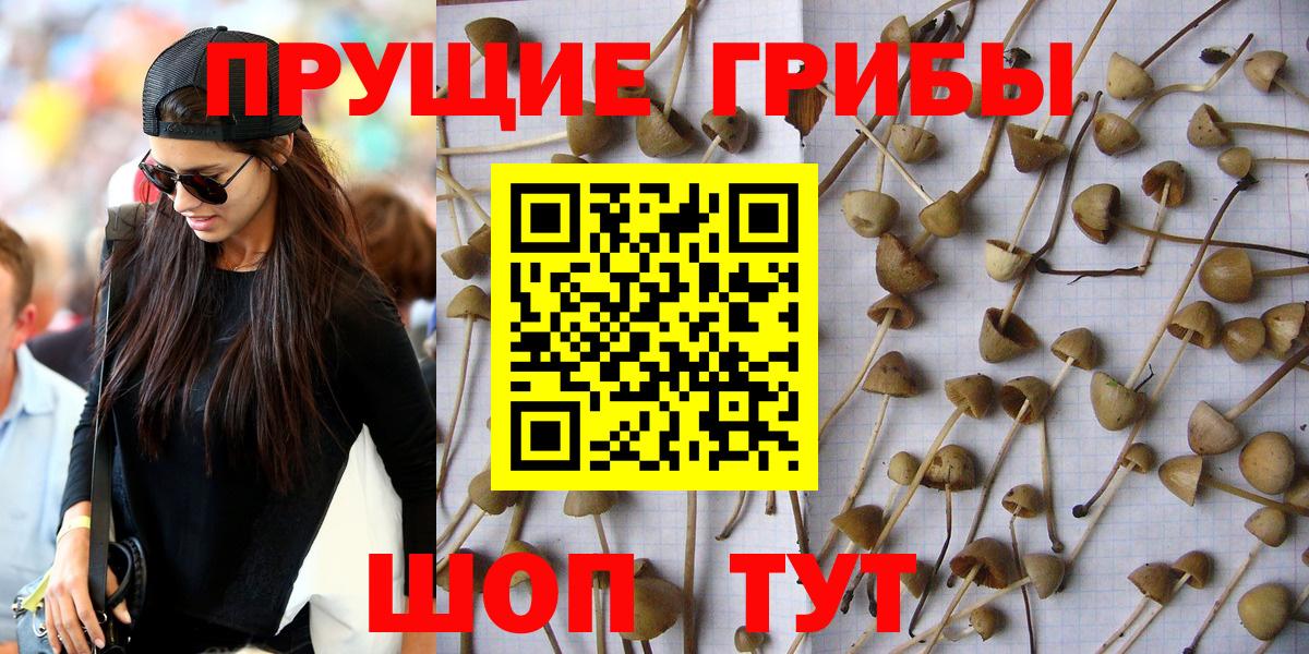 Магадан  Псилоцибиновые грибы мухоморы  Вход с VPN 